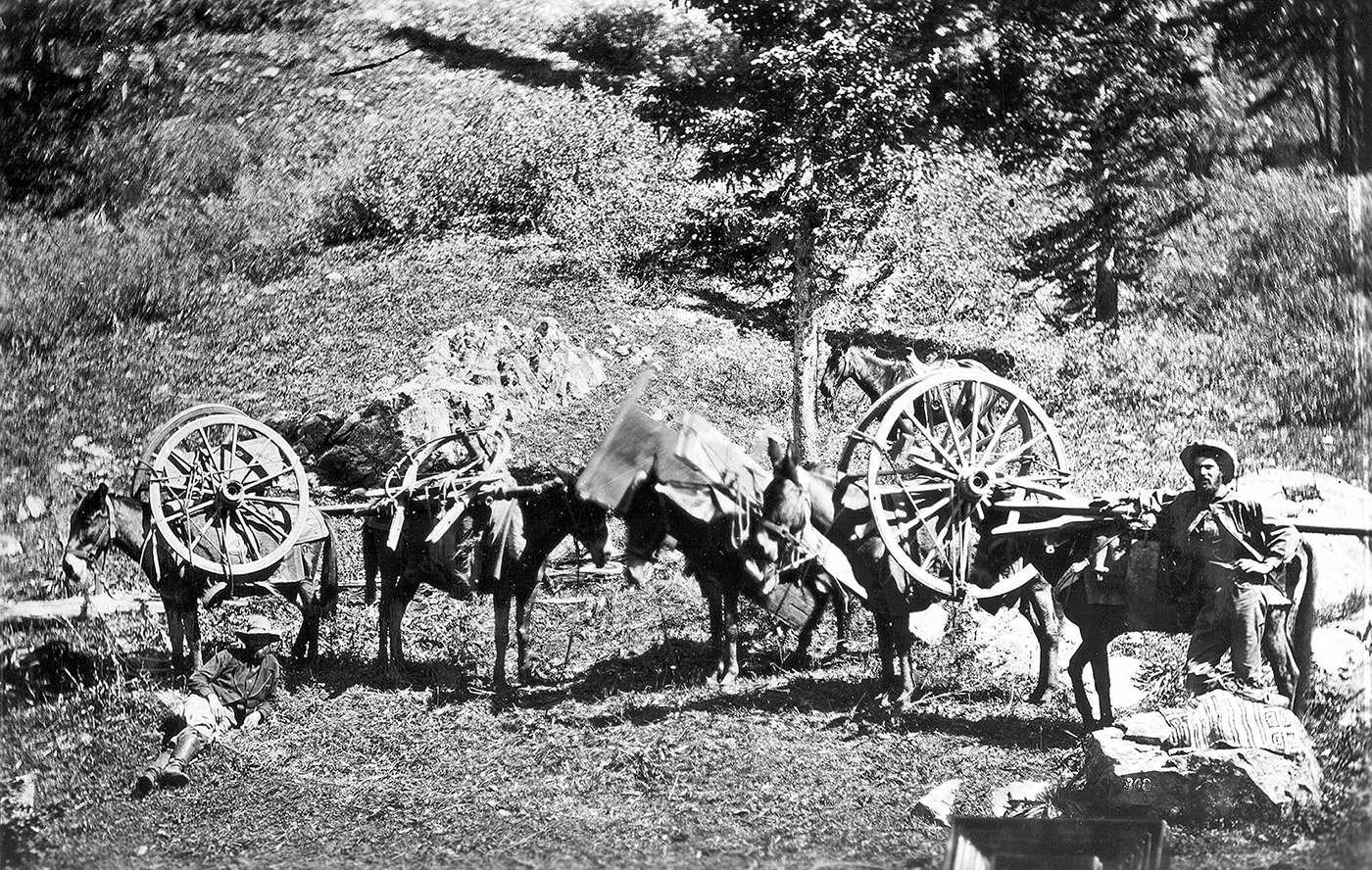 Photograph of several men and mules loaded with wagon parts
